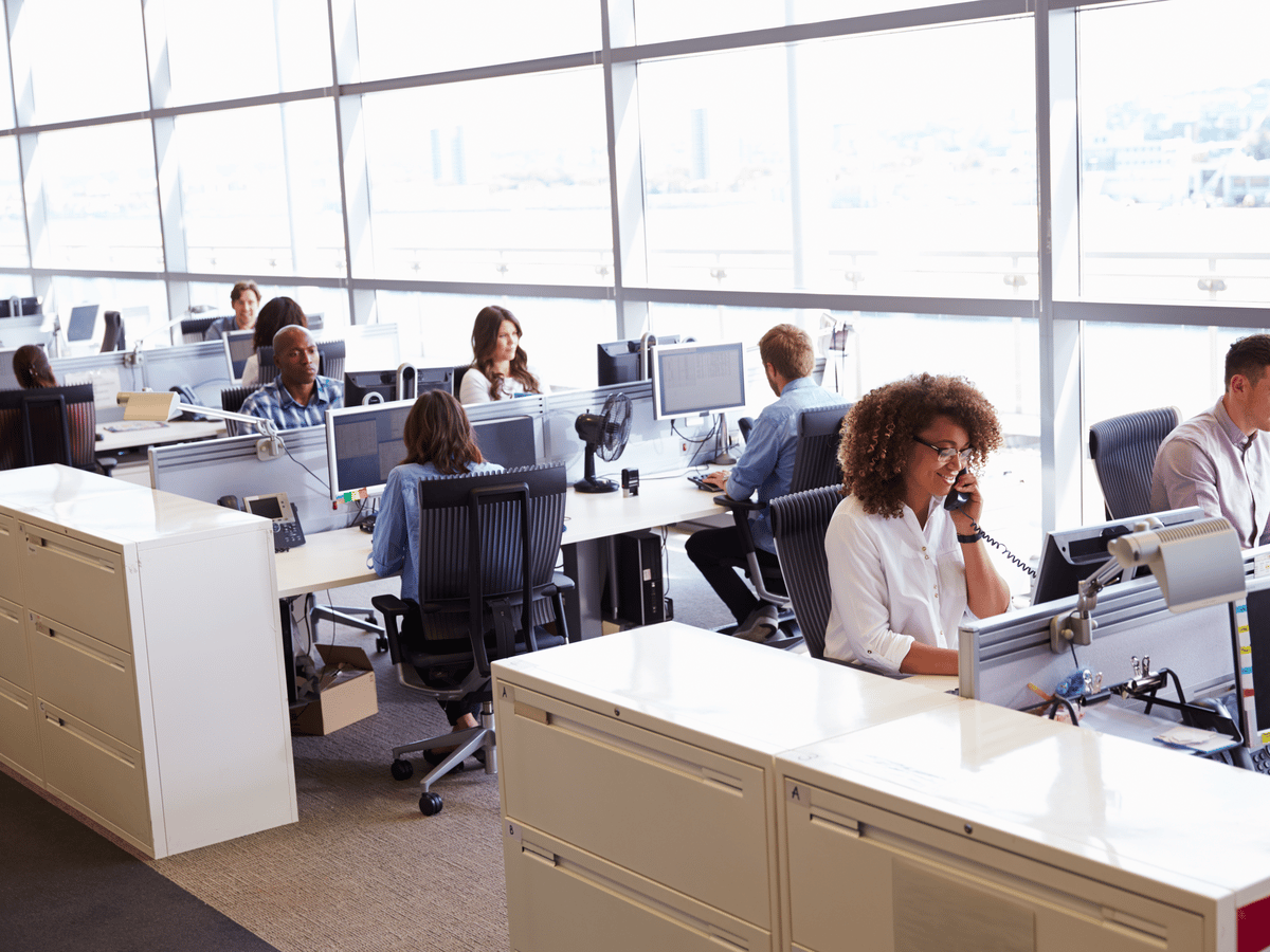 An open-plan office with support staff at their screens