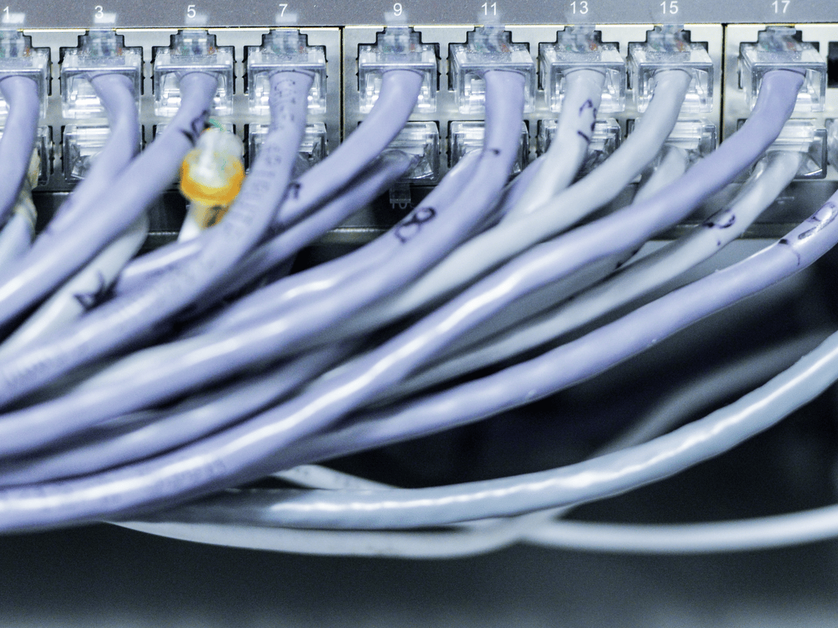Network cables connected to a switch