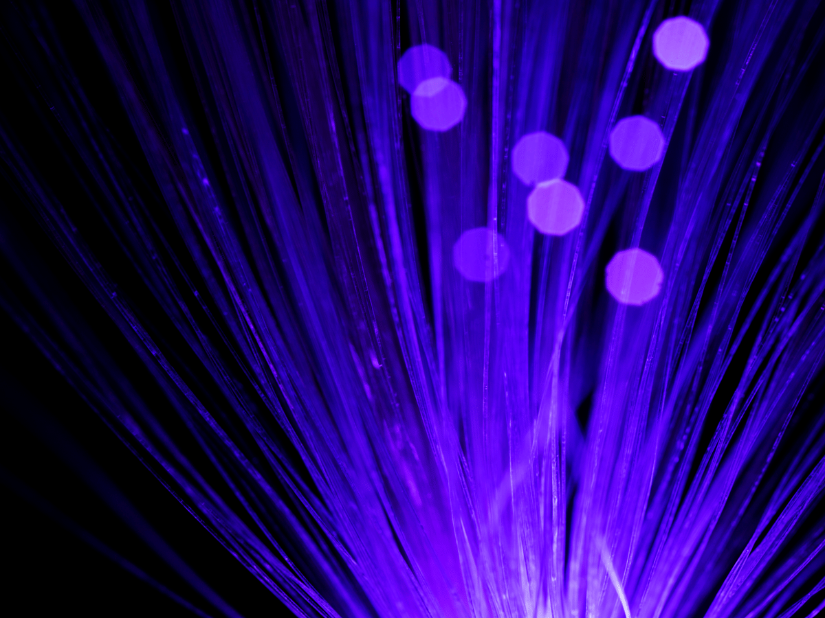 Strands of purple fibre-optic light